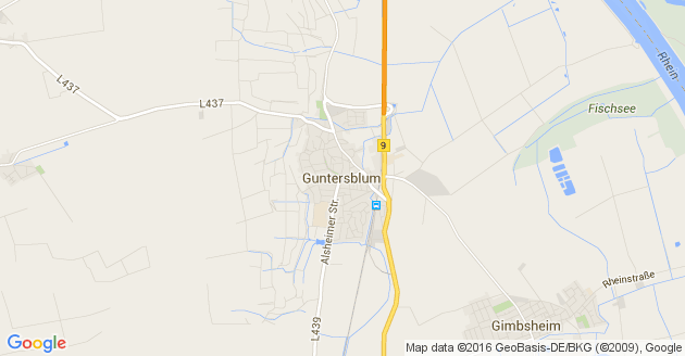 Karte Guntersblum