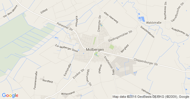 Karte Molbergen