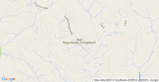 Karte Bad Rippoldsau Schapbach