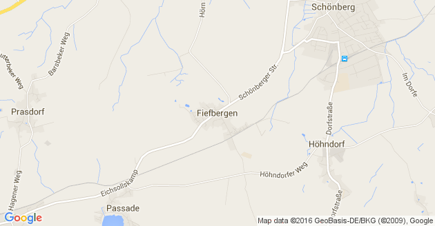 Karte Fiefbergen