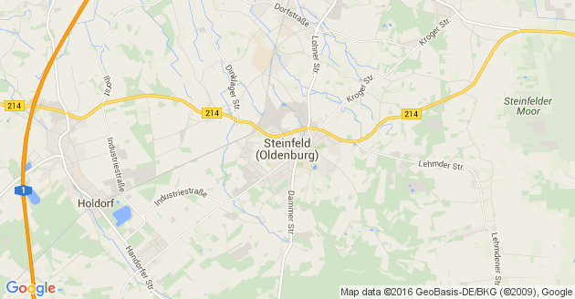 Karte Steinfeld in Oldenburg